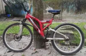 Running Cycle