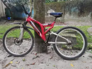Running Cycle