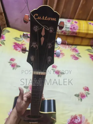 গিটার প্রফেশনাল কাস্টম