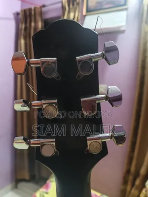 গিটার প্রফেশনাল কাস্টম