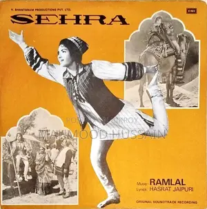 লং প্লে / ভিনাইল