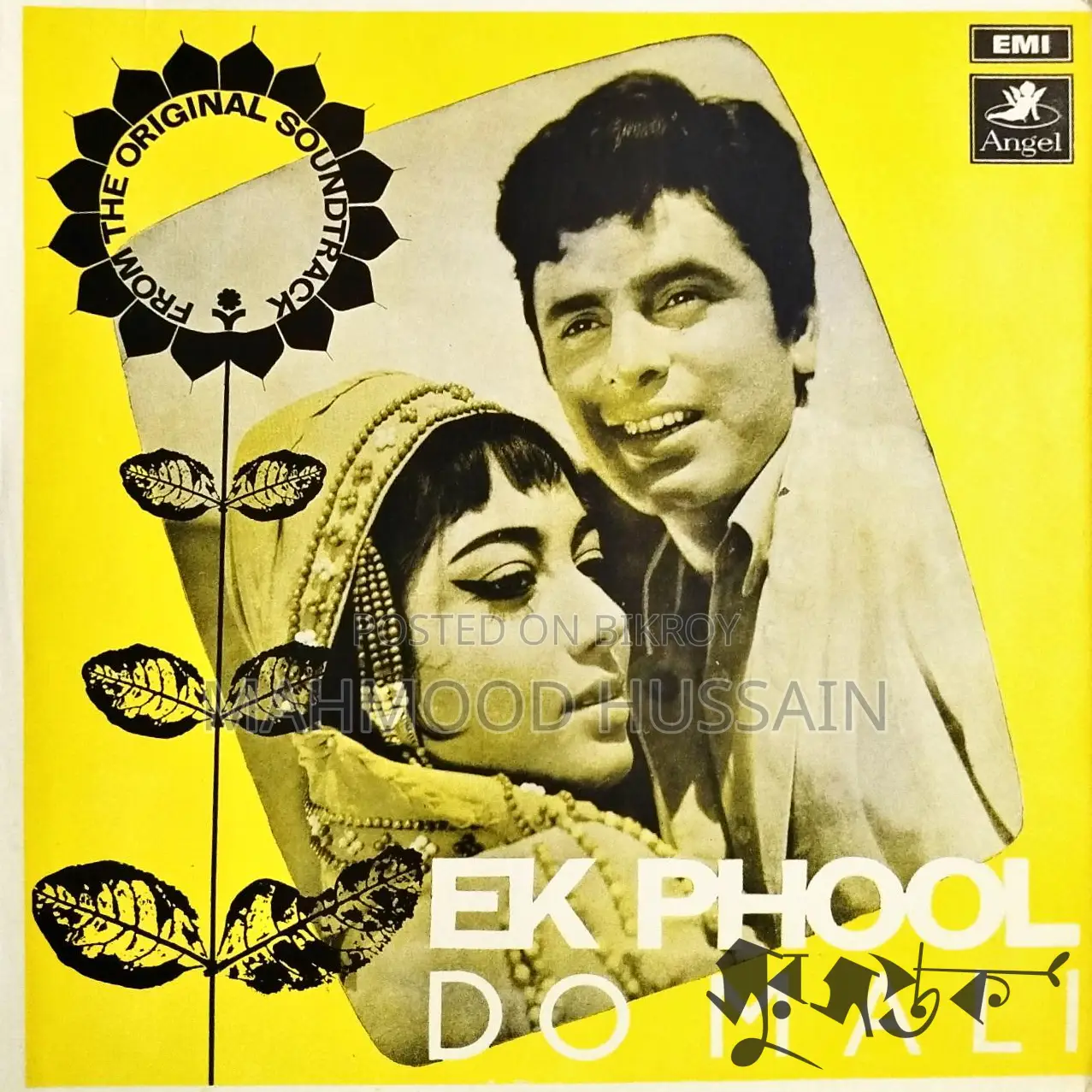 লং প্লে / ভিনাইল
