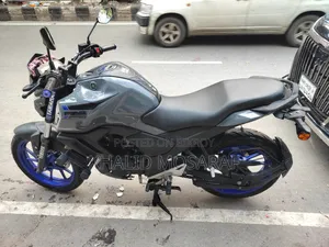 ইয়ামাহা এফজেড ২০২৪ গ্রে