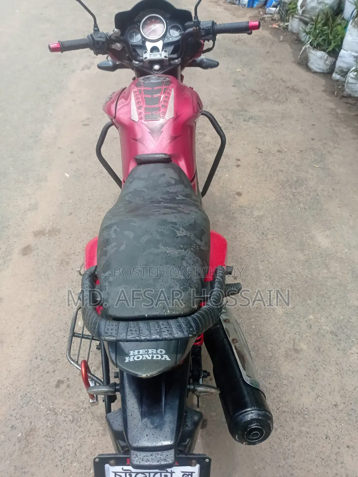 হিরো হাংক ২০১১ রেড