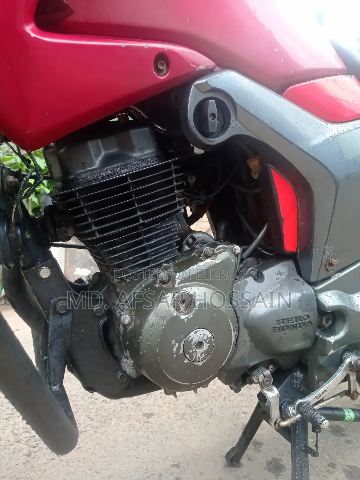হিরো হাংক ২০১১ রেড