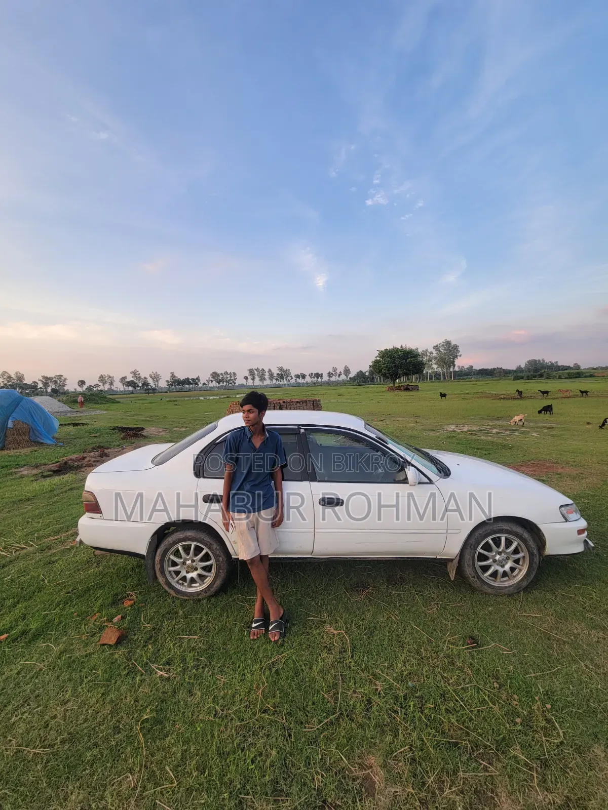Toyota T100 1993 White
