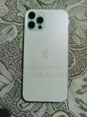 অ্যাপল আইফোন ১২ প্রো ২৫৬ জিবি সিলভার