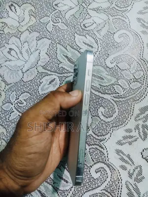 অ্যাপল আইফোন ১২ প্রো ২৫৬ জিবি সিলভার