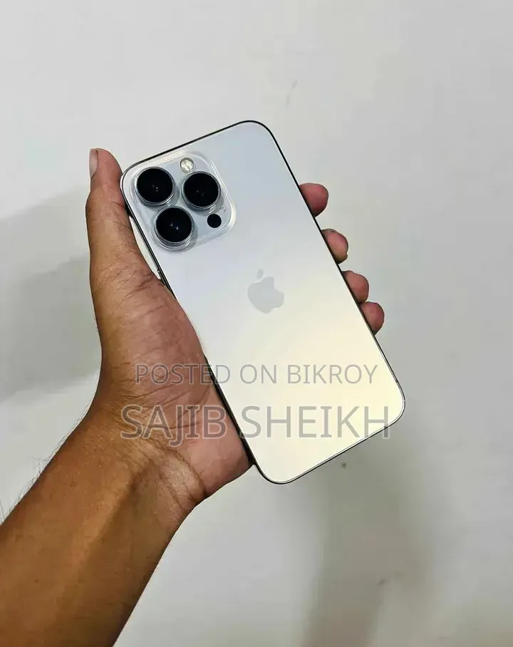 Apple iPhone 13 Pro 256 GB Silver