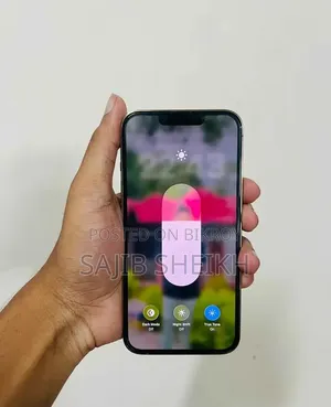Apple iPhone 13 Pro 256 GB Silver