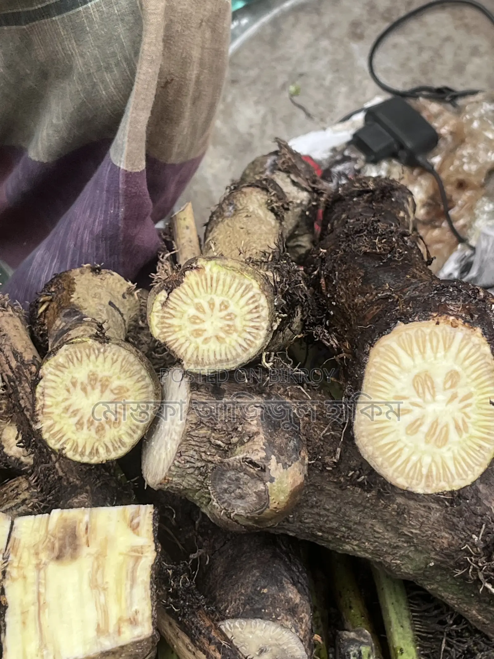খুলনার খাটি চুইঝাল