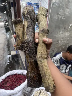 খুলনার খাটি চুইঝাল