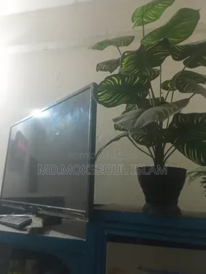 Selling this TV.