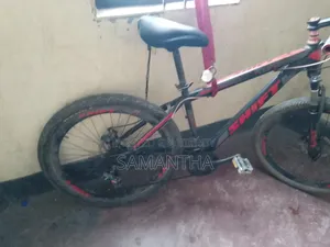 Shift 7 Speed Bicycle