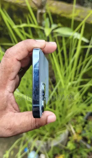 Apple iPhone 13 Pro Max 256 GB Blue