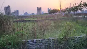 M-Block || North Face || 5 Katha Ready Plot || Bashundhara R/A