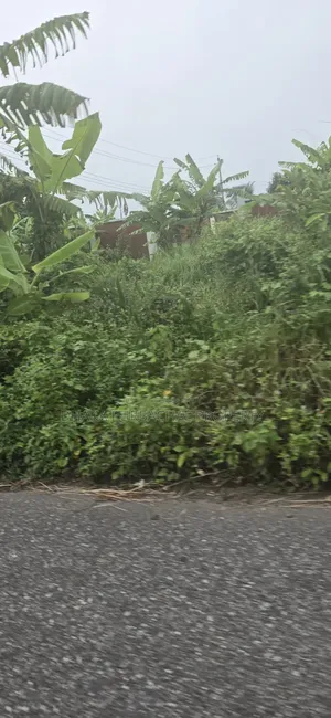 Purbachal Sector -13 South Facing Plot Sell