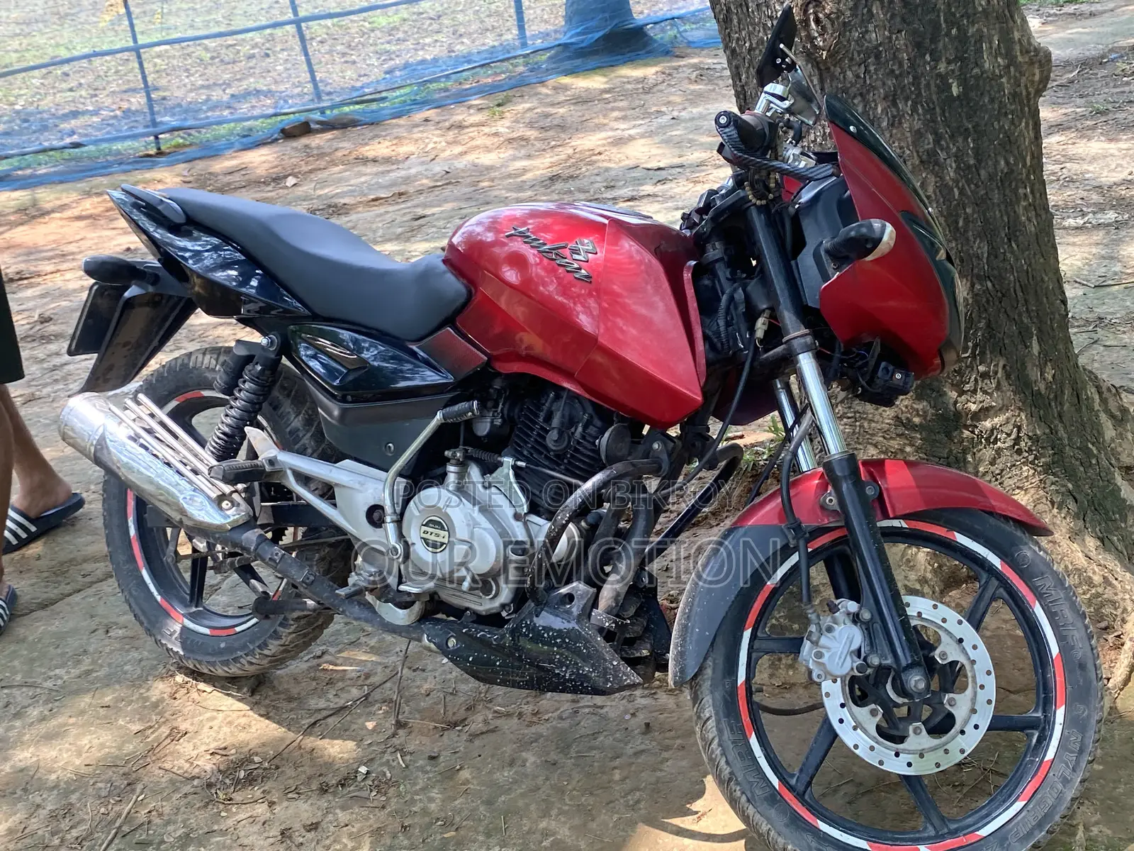 বাজাজ পালসার ১৫০ ২০১৪ লাল