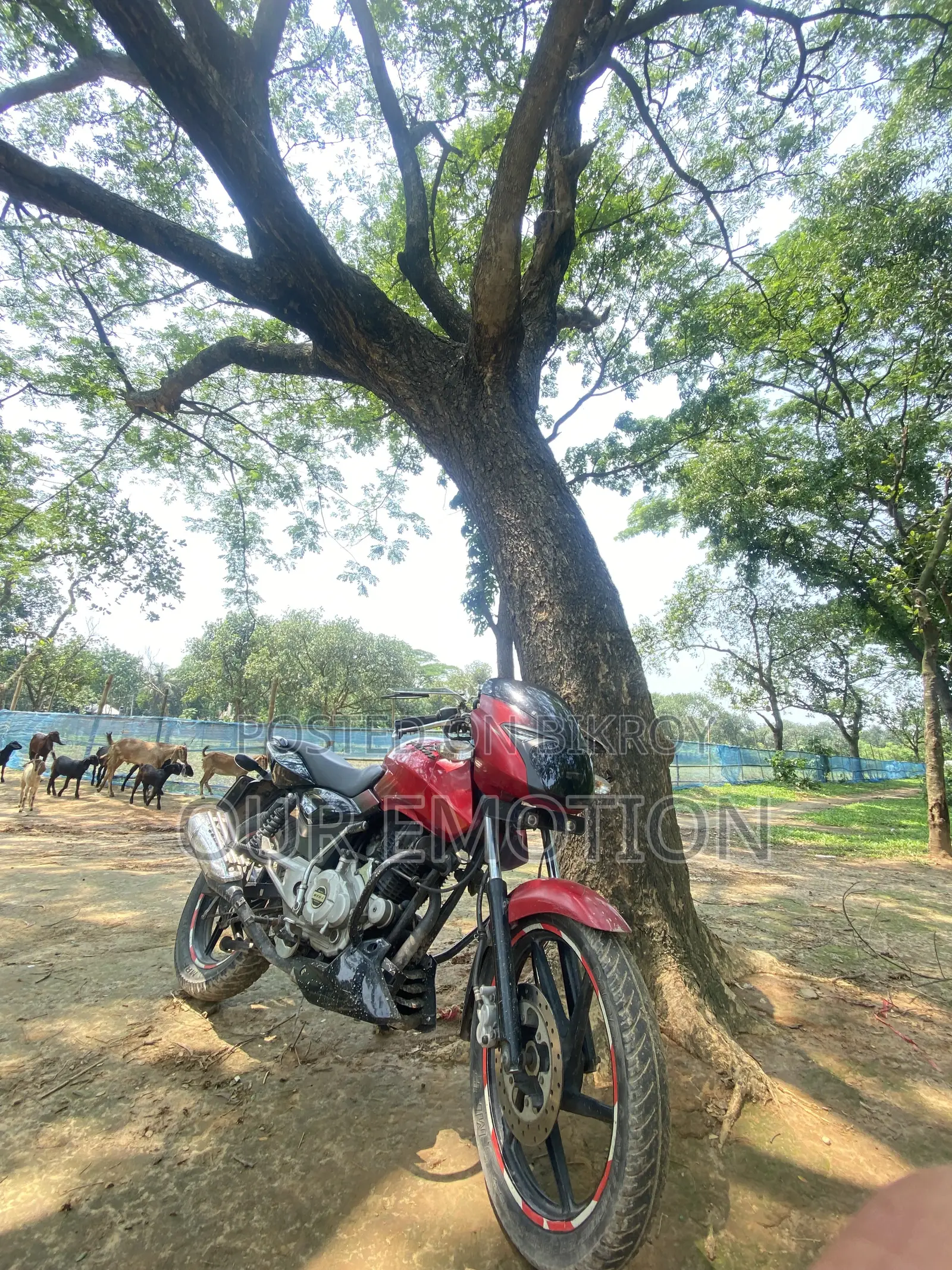 বাজাজ পালসার ১৫০ ২০১৪ লাল