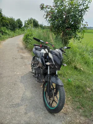 Bajaj Pulsar NS 160 2018 Black