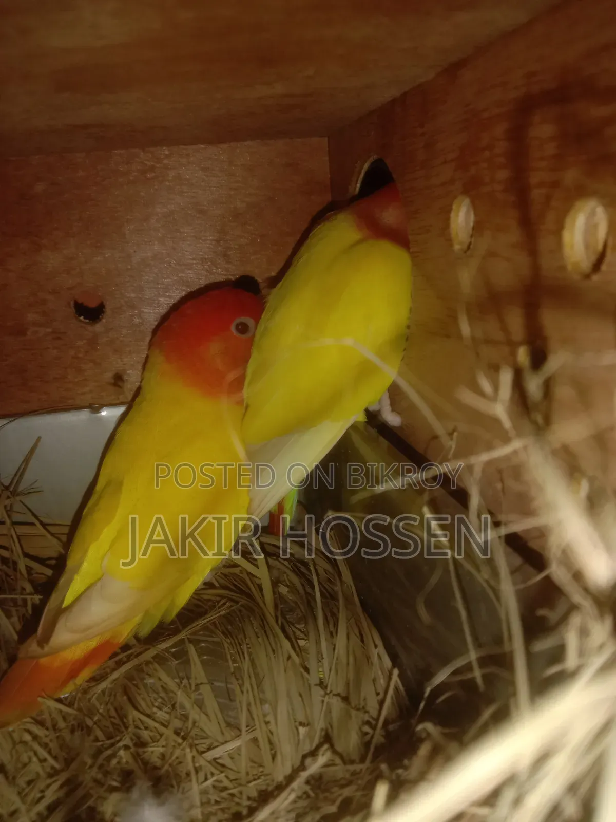 Running Pair
