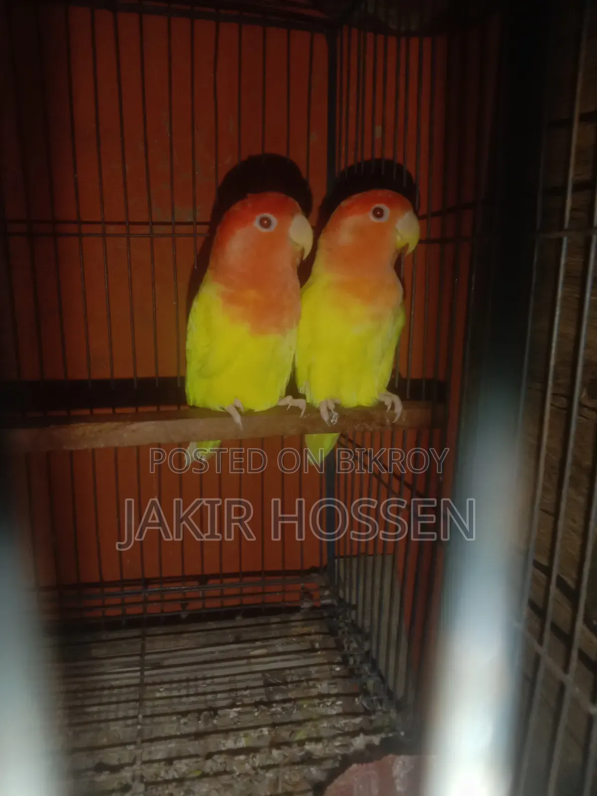 Running Pair