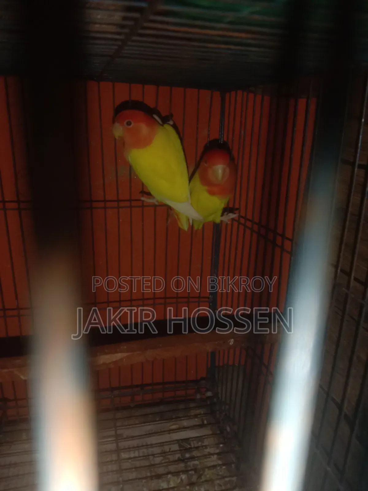 Running Pair