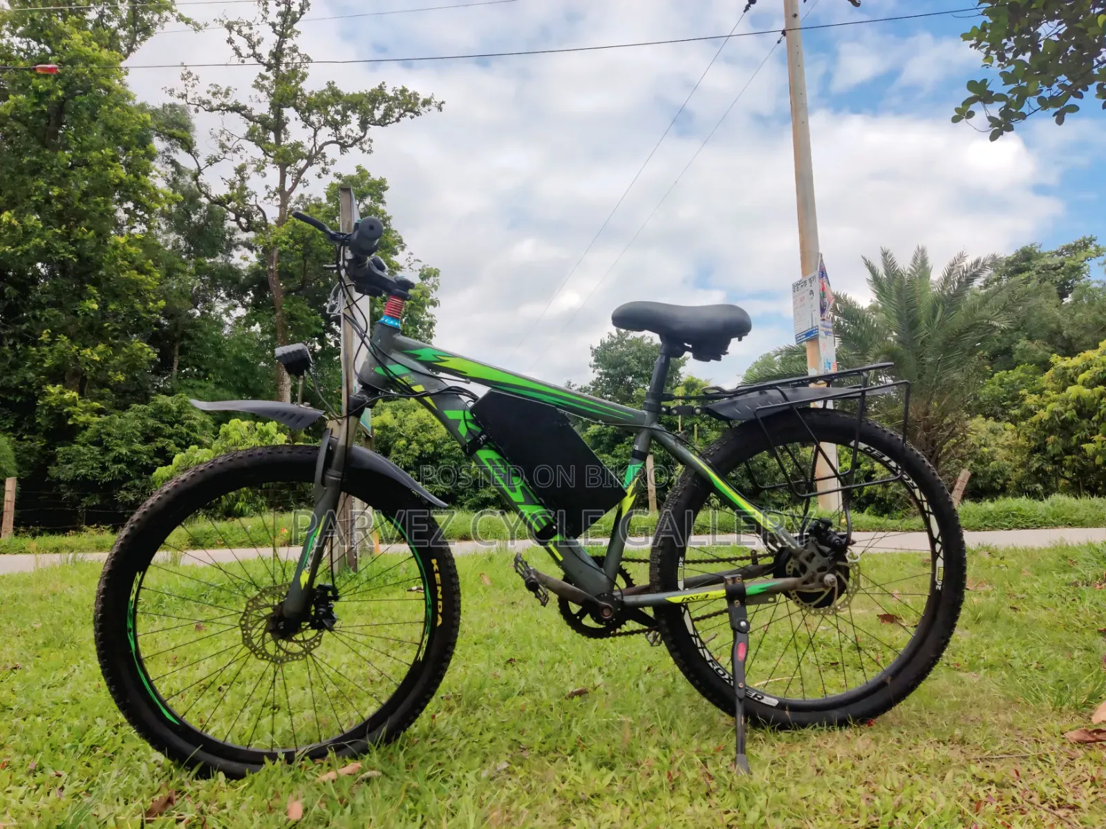 Electric Bicycle – LFP Battery, 45-50km Range |