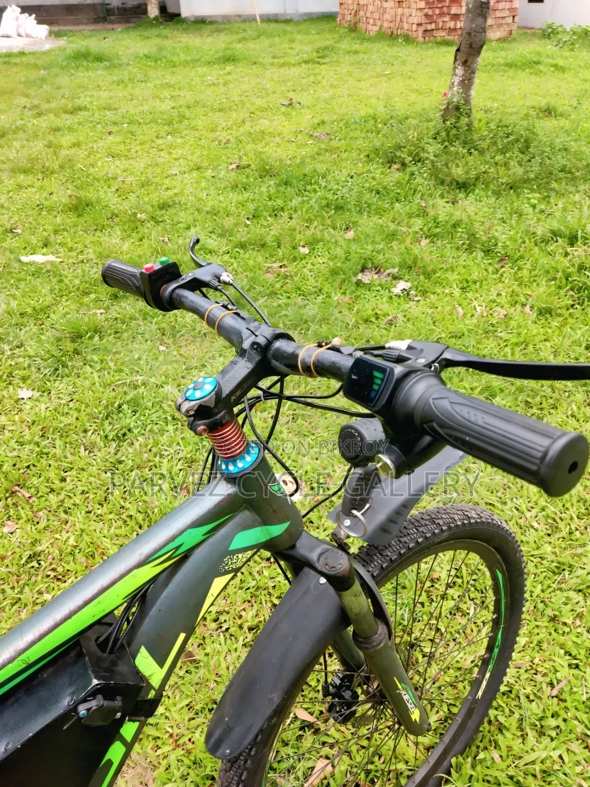 Electric Bicycle – LFP Battery, 45-50km Range |