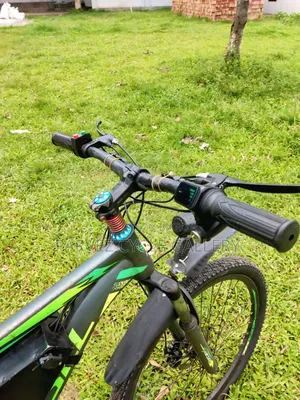Electric Bicycle – LFP Battery, 45-50km Range |