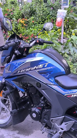 Honda Hornet 2020 Blue