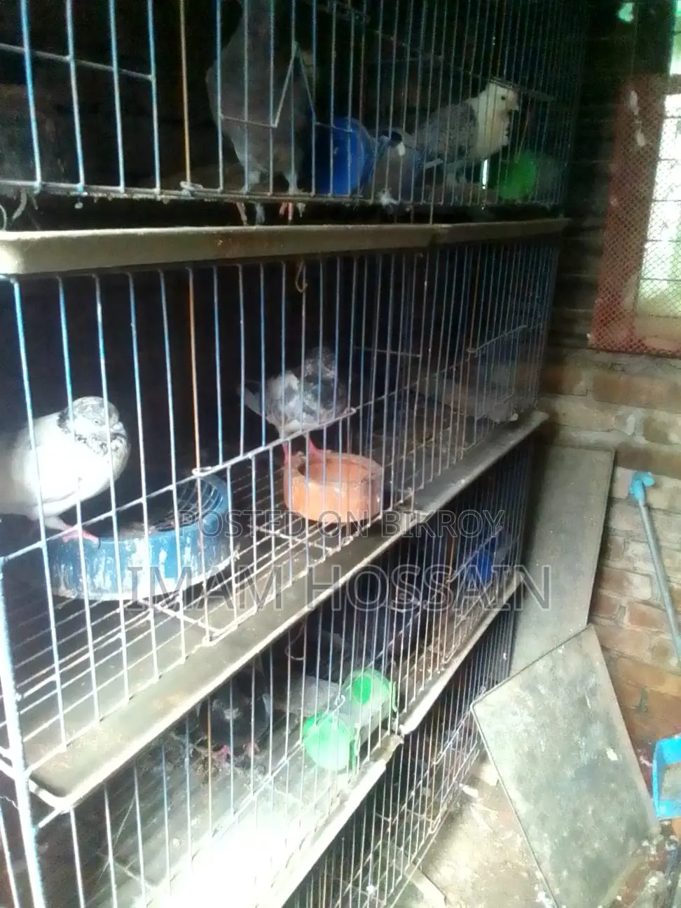 Used pigeon cage for sale