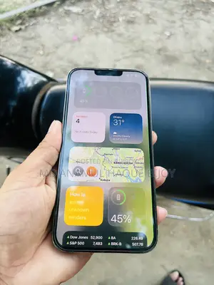 Apple iPhone 13 Pro Max 256 GB Green