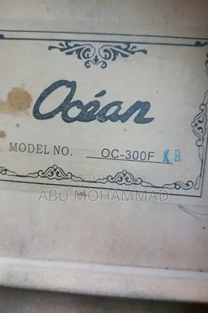 Korean Guitar