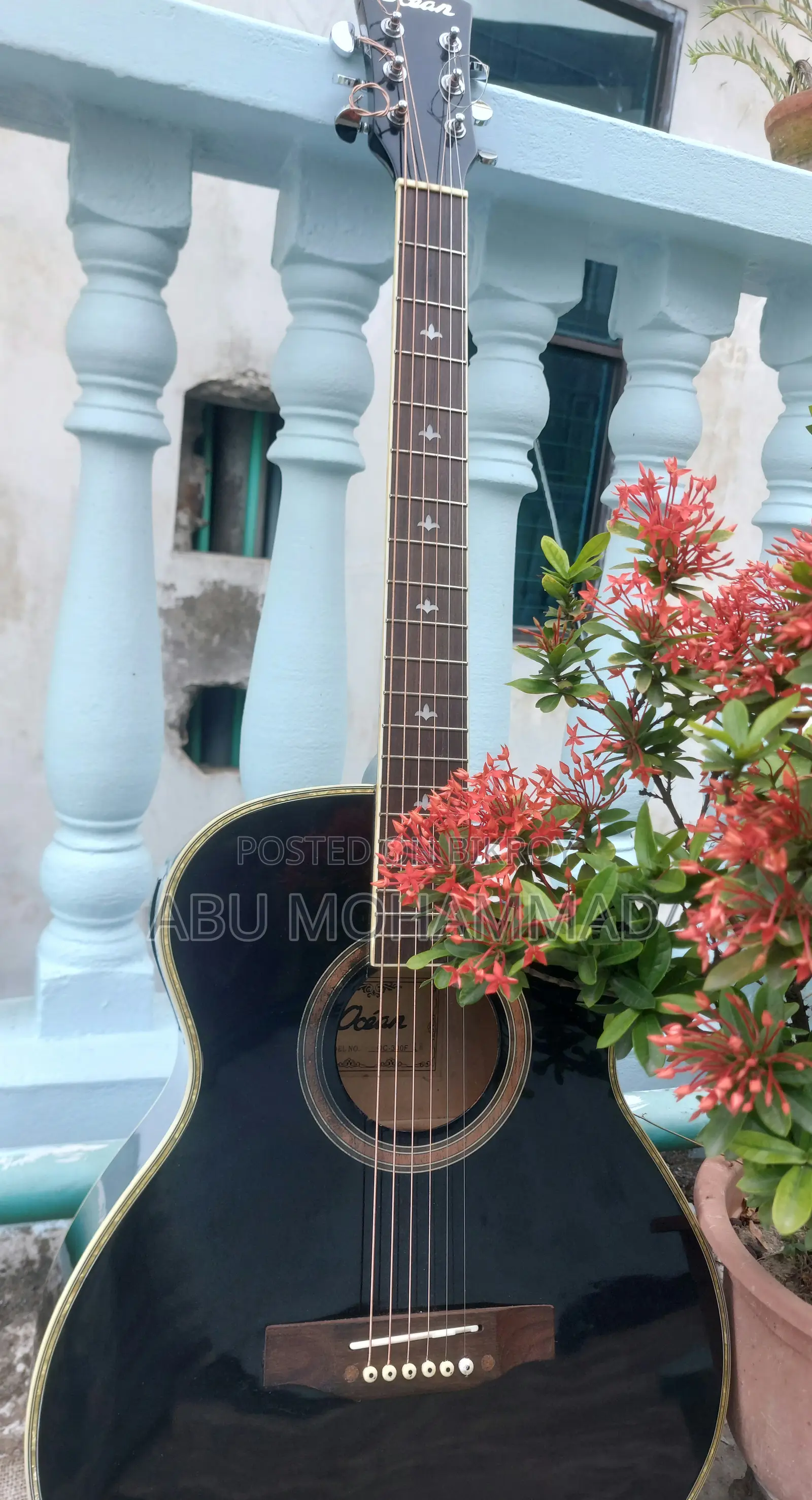 Korean Guitar