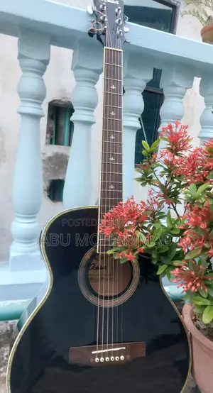 Korean Guitar