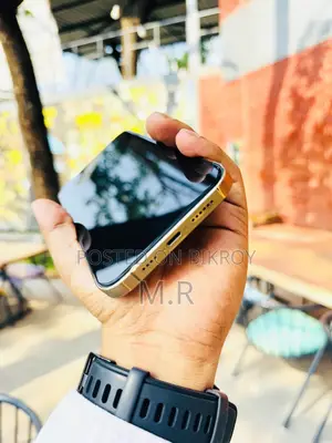 Apple iPhone 13 Pro Max 256 GB Gold