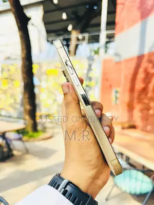 Apple iPhone 13 Pro Max 256 GB Gold
