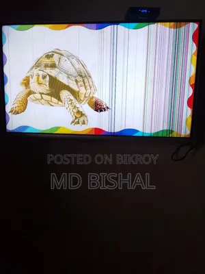 Smart TV Solar Vision