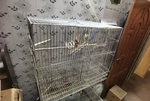 Cages for sale