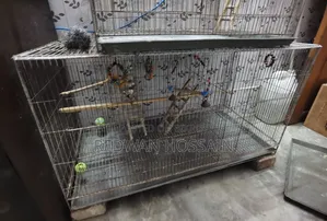 Cages for sale