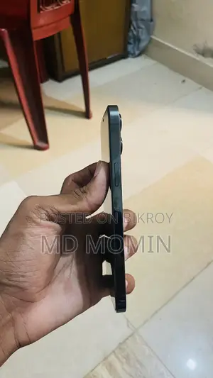Apple iPhone 12 Pro Max 256 GB Blue