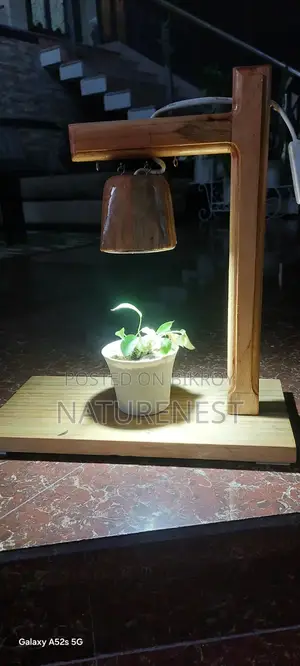 Terrarium Lamp