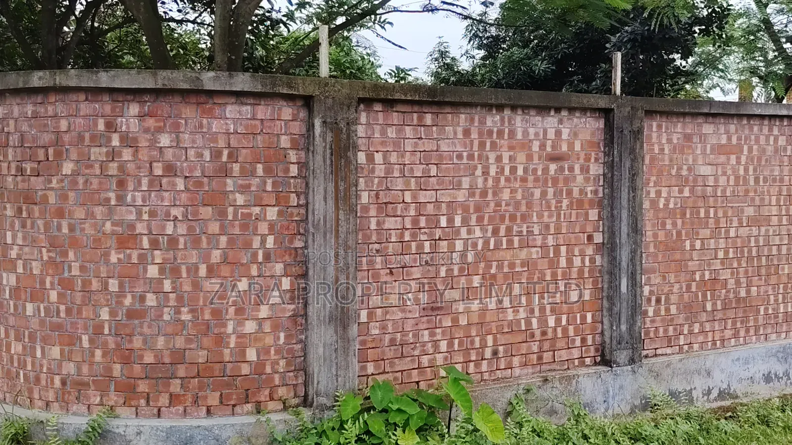 Low budget plot in Sector 28. South-facing 3 Katha.