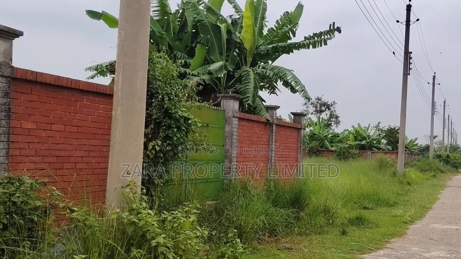 5 katha south-facing plot for sale in Sector 8.