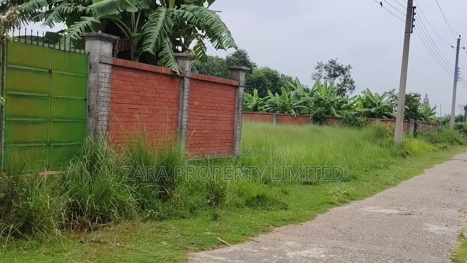 5 katha south-facing plot for sale in Sector 8.