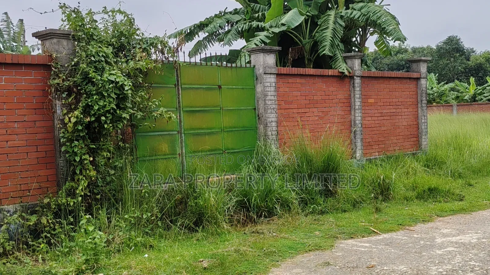 5 katha south-facing plot for sale in Sector 8.