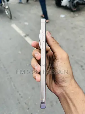 Apple iPhone 16 Pro Max 256 GB Rose Gold