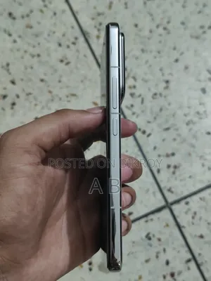 শাওমি ১৫ প্রো ২৫৬ জিবি সিলভার
