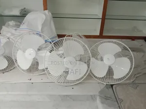 Mira Wall Fan